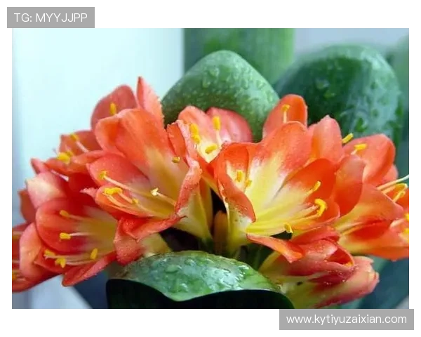 开运在线为你揭示未来的好运趋势，提前布局迎接美好生活